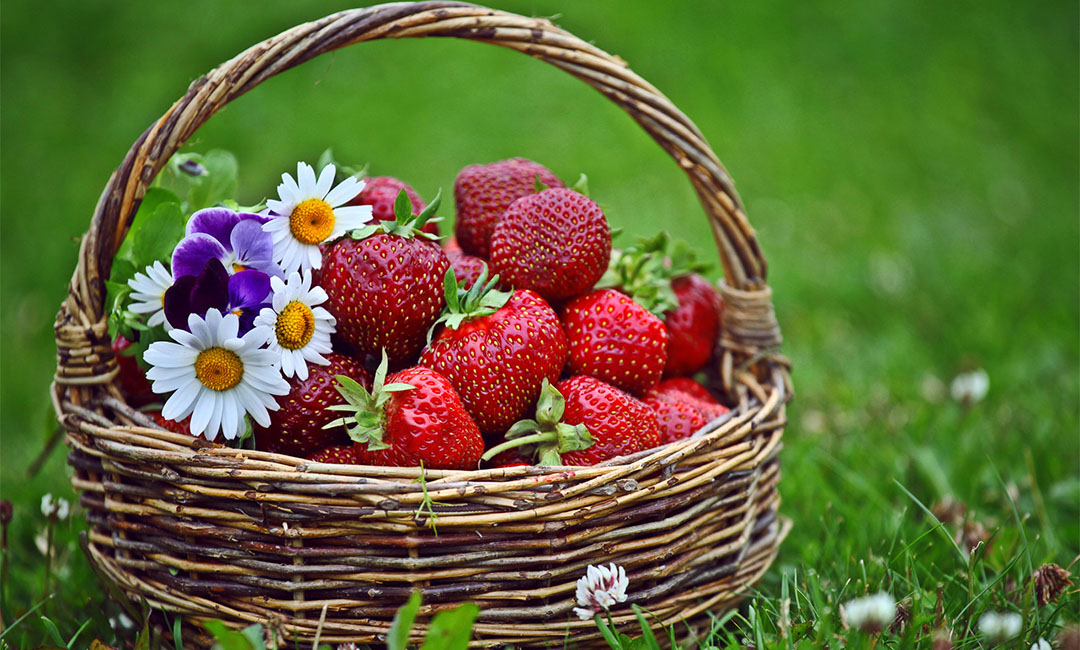 汉中点呀点水果电商APP开发案例